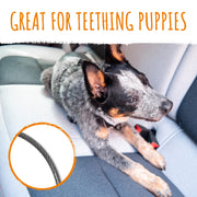 Mighty Paw Dog Seat Belt Vehicle - Chew-Proof Dog Belt - Great for Teething Puppies - Latch Bar Attachment Like Child's Car Seat - Aviation Aluminum Carabiner - Strong Enough for Climbers - 850+ LB