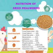 KAYPET Dried Mealworms 10LB Meal Worms for Chicken Ducks and Wild Birds | Pure Natural Non-GMO High Protein Chicken Feed