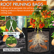 Gardzen 10-Pack 10 Gallon Grow Bags Fabric Pots with Heavy Duty Handles | Excellent Drainage & Breathability, Thickened 300G Nonwoven Fabric, BPA Free, Durable for Vegetable & Flower Growing