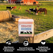 Himalayan Secrets Compressed Salt Lick for Livestock & Wildlife, 11 lb | 100% pure natural feed salt block | 84 trace minerals and elements | for horses, cattle, deer, goats and sheep and more
