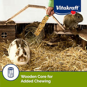 Vitakraft Crunch Sticks Rabbit Treat Wild Berry & Honey Flavor -2 Sticks | Real Dried Fruit, Sweet Honey Coating, Natural Wood Center, Encourages Foraging Chewing, 2 Count Pack
