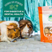 Oxbow Vitamin C Guinea Pig Supplement, High-Fiber Timothy Hay, 4.2 oz | Stabilized Vitamin C, High Fiber, Guinea Pig Vitamin C, Timothy Hay, Immune Health, Small Pet Supplies, Vet Recommended