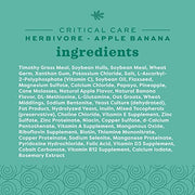 Oxbow Critical Care Herbivore, Rabbit & Guinea Pig, Apple Banana, 141 g | Herbivore Emergency Food, Recovery, Rabbit Food, Recovery Diet, Apple Banana, Syringe, Tube Feeding, Complete Nutrition