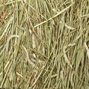 Kaytee Wafer Cut Timothy Hay for Rabbit & Guinea Pigs, 60 Ounce | Less mess. Rabbit hay peels in layers. High fiber, guinea pig food