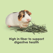 Kaytee Timothy Hay, High Fiber for Rabbits, Guinea Pigs, 12 Pounds | Supports digestive health. Hand-selected rabbit hay. Guinea pig hay, chinchilla hay, pesticide free