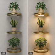 🌿🔥 Estante Flotante con Luz LED para Plantas – Decoración Moderna de Pared que Ilumina tu Hogar ✨🏡