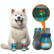 Zapatos Perro Malla Transpirable – Diseño Luminoso, Protege sus Patitas de Nieve, Calor y Asfalto 🐶✨