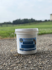 Synapse-Flow: Neurologic, Lymphatic, and Perspiration Support